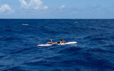 CARNET DE BORD – JEUDI 23 FEVRIER 2023